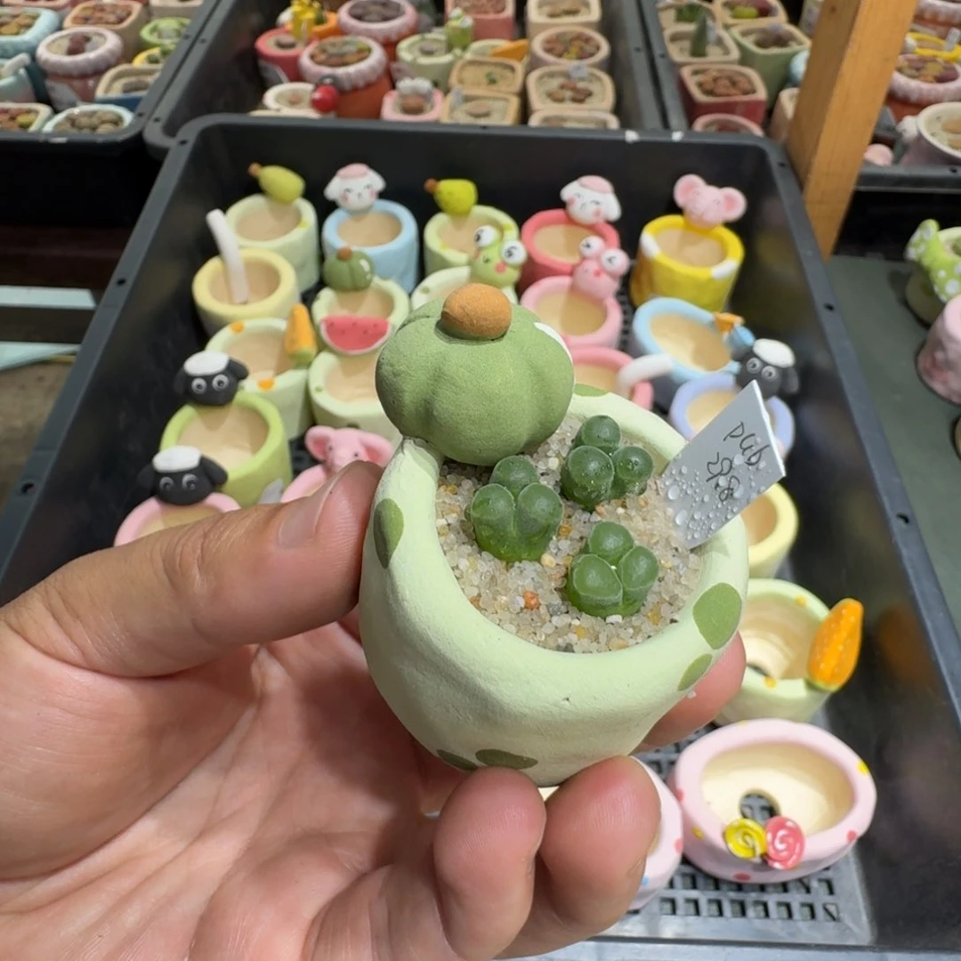 い*白蘑菇212pub风铃风铃
