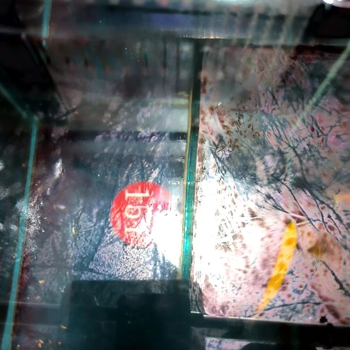 黄龙6+/5-46-151海水