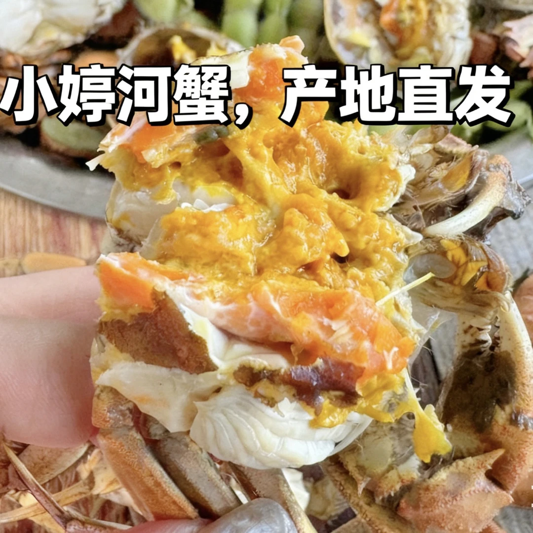 盘锦河蟹1.3-1.6两2/3斤母蟹（顺丰冷链）