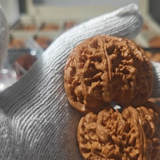 文玩核桃把件文玩核桃，一物一图。