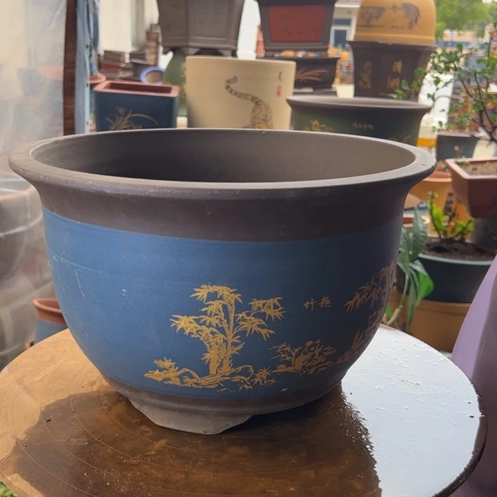 蓝熊猫大花盆花盆花盆