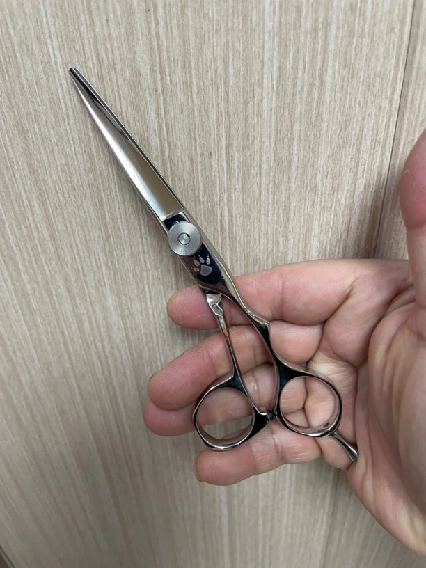 日本剪刀水谷代工5.8寸综合剪成色不错十分锋利好用