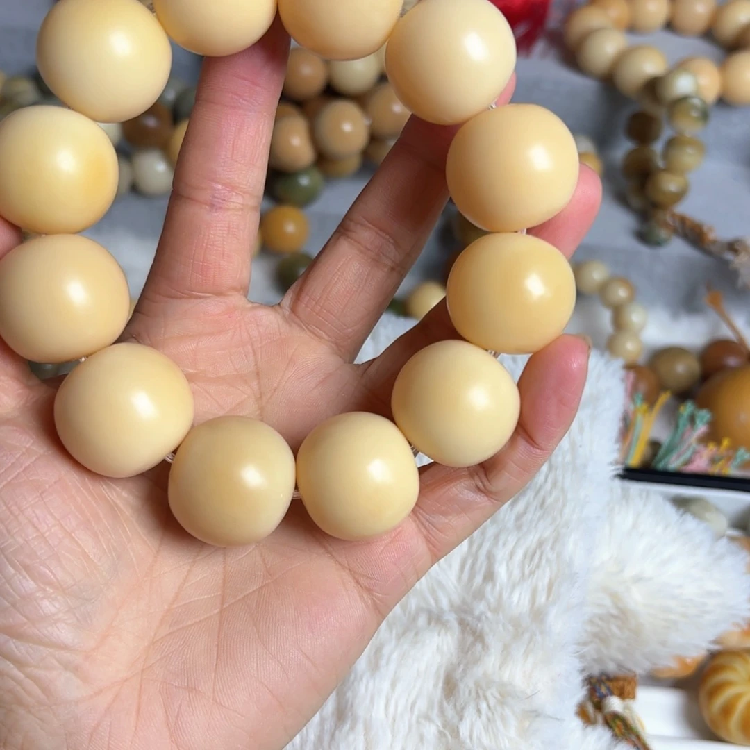 菩提根/象牙果手串卡24奶黄包