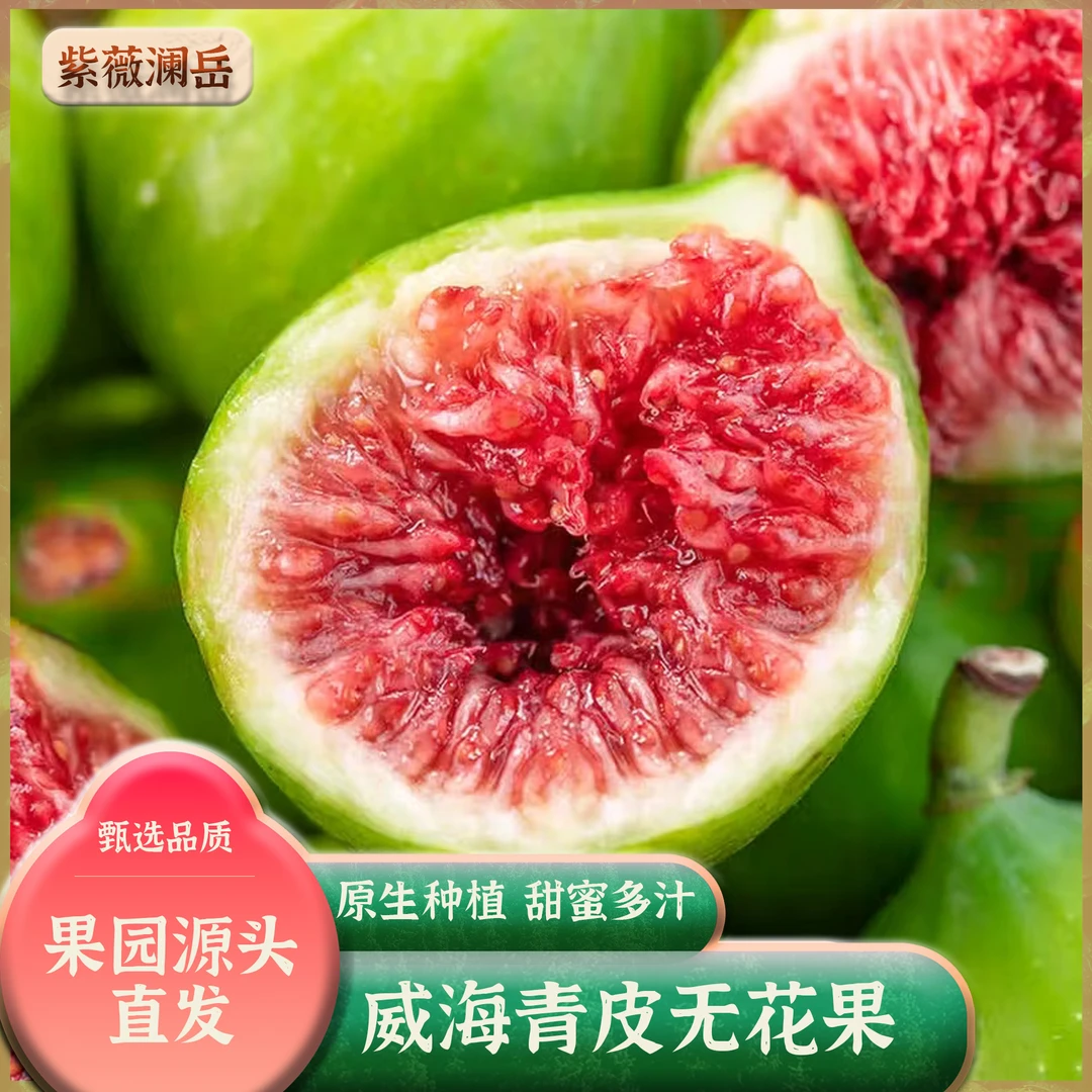 威海青皮无花果新鲜应季现摘现发顺丰空运软糯香甜水果