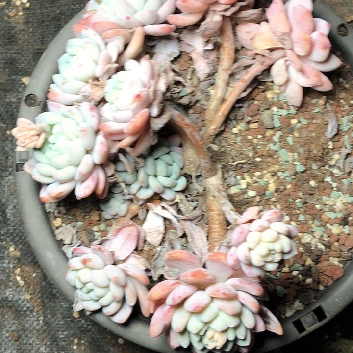 雨**滑71//////////////////