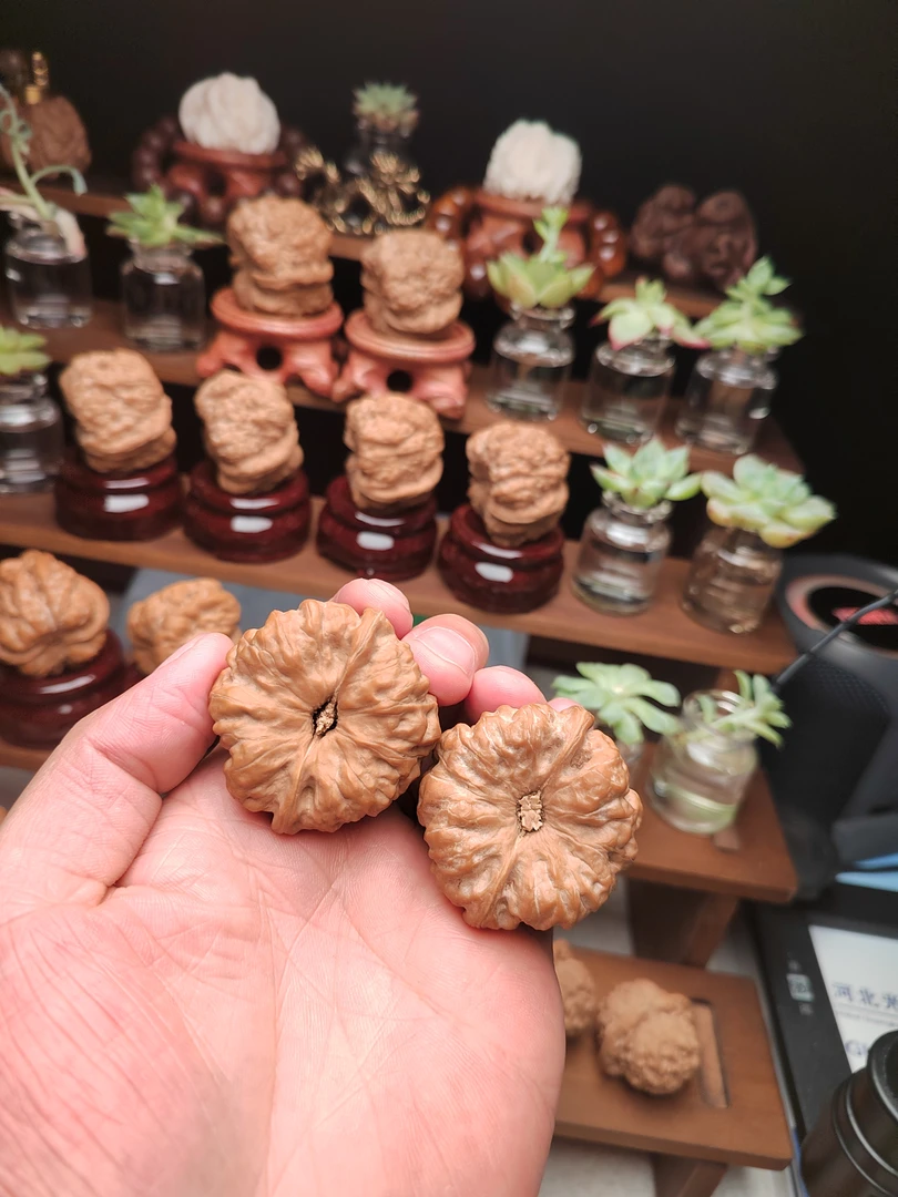 金蟾蛤蟆头文玩核桃