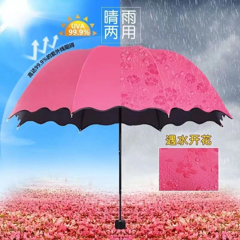 【遇水开花】公主风晴雨伞折叠两用遮阳号雨伞黑胶防晒小清新