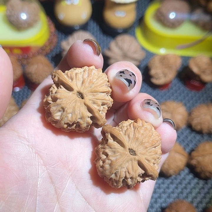 小手捻野生全品无修32