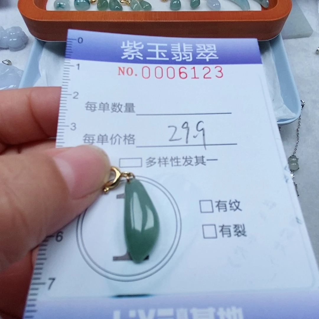 颈饰未镶嵌翡翠冰透随行