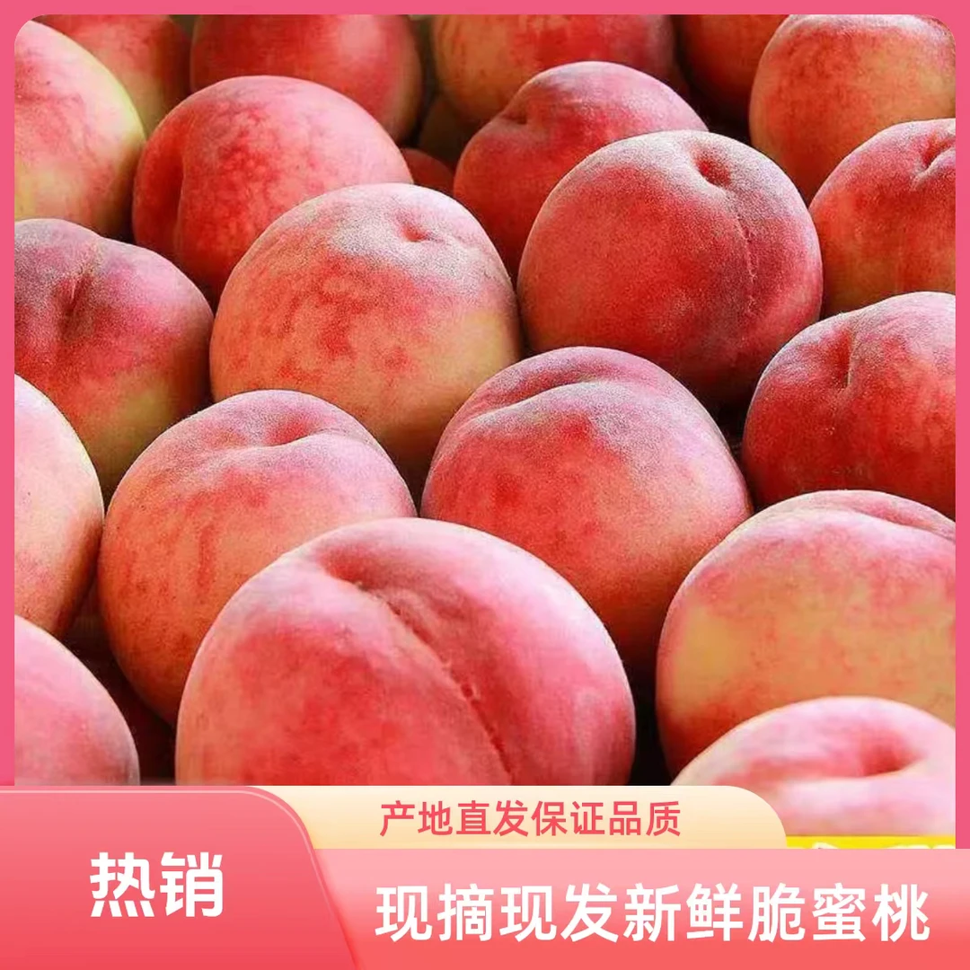 现摘现发脆甜多汁水蜜桃甜脆桃硬桃毛桃产地直发当季应季新鲜水果