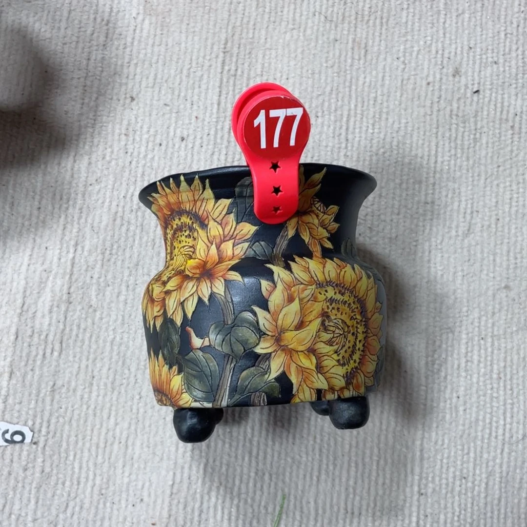 紫砂花盆?****陶瓷多肉花盆精品