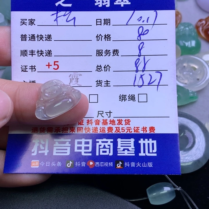 颈饰未镶嵌翡翠松**影