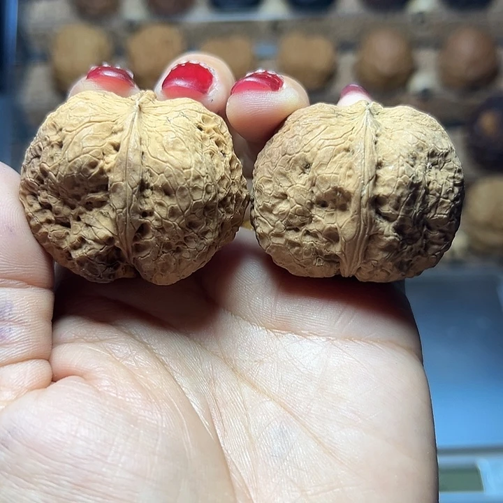 文玩核桃把件35号小鹰嘴43尺