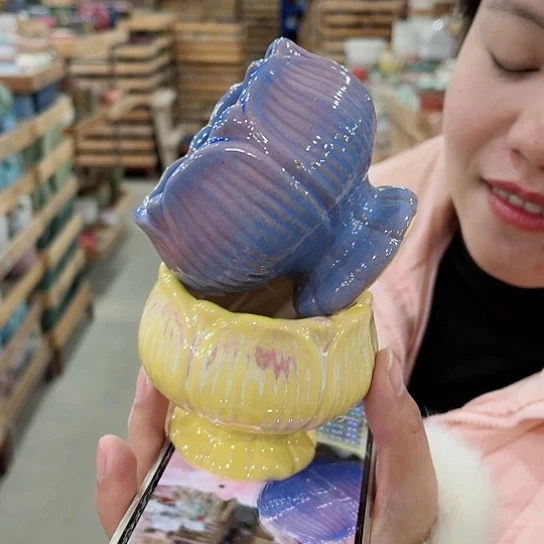 红陶直播间已有一年里