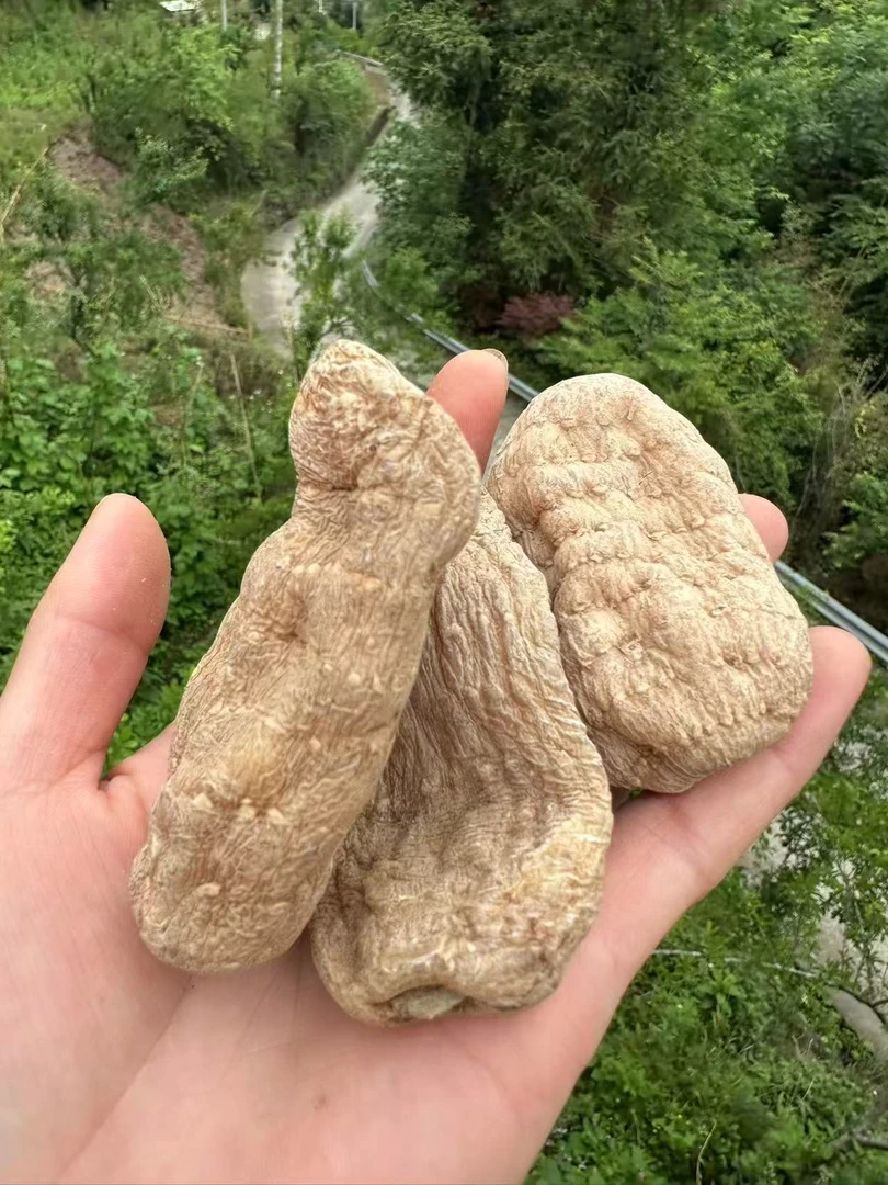 重庆城口高山天麻(天麻片,天麻果)