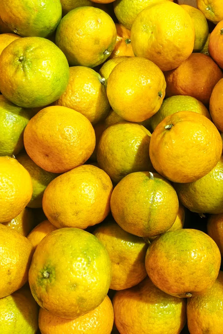 【大红柑】自家果园现摘现发新会礼乐老树圈枝新会陈皮鲜果顺丰包邮