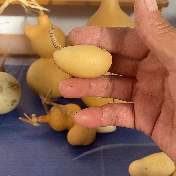 酒***子葫芦手把件摆件葫芦