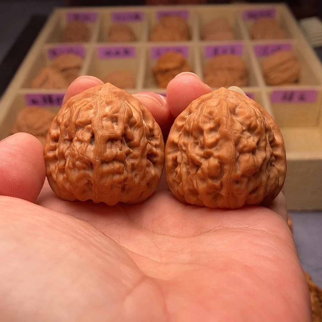 文玩核桃把件野生祥云狮子头41（头货精品