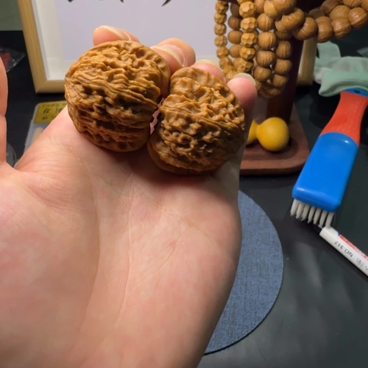 台***室文玩核桃把件白狮子