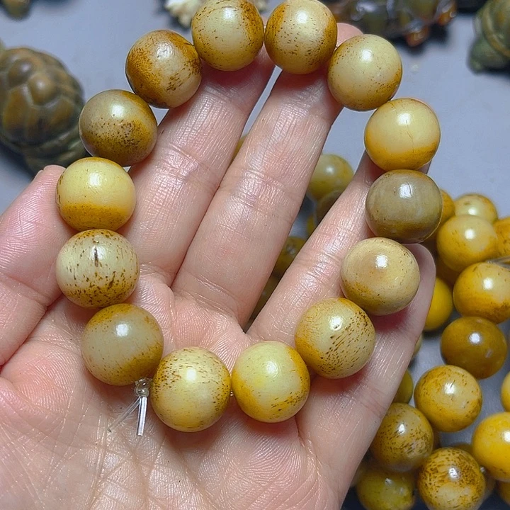 大果紫檀（缅甸花梨）