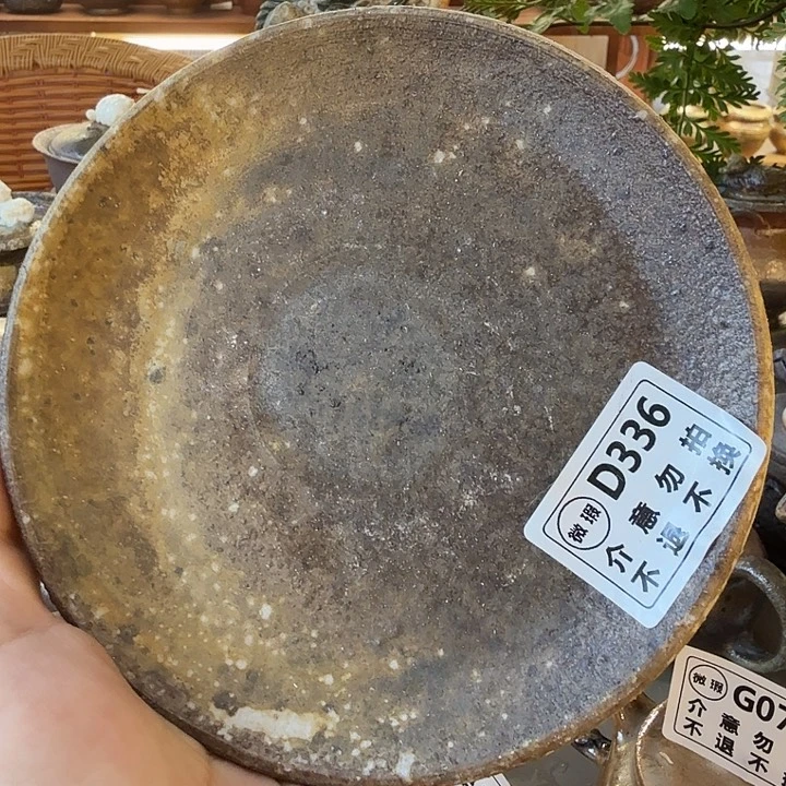 瓶柴烧福利新品多多