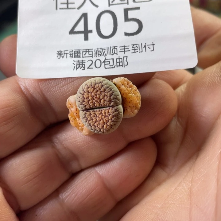 王****)跑妹饿老了以后还要一起405