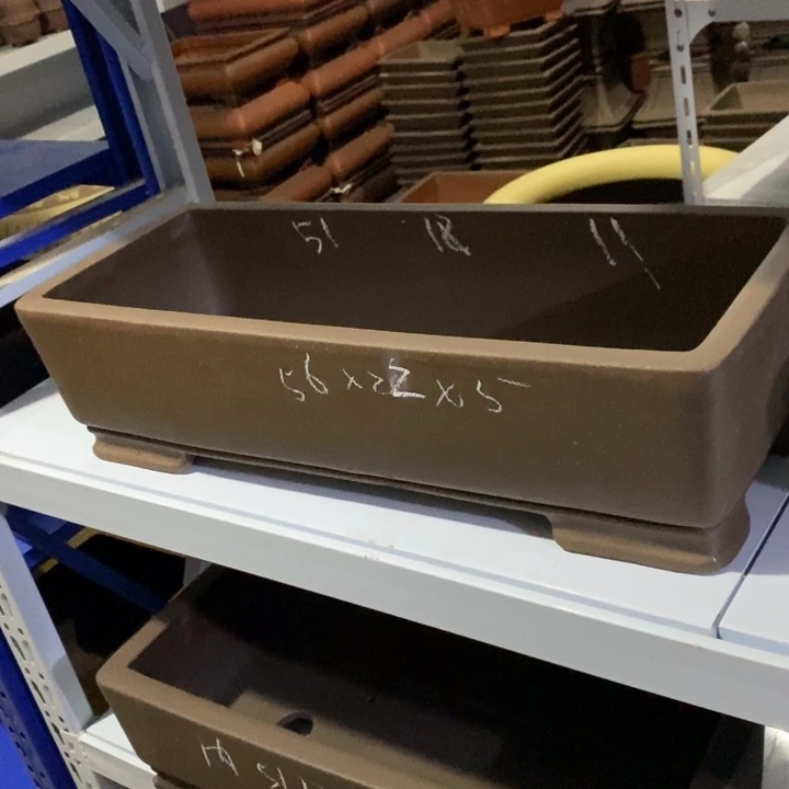 花盆紫砂只顾看手机的