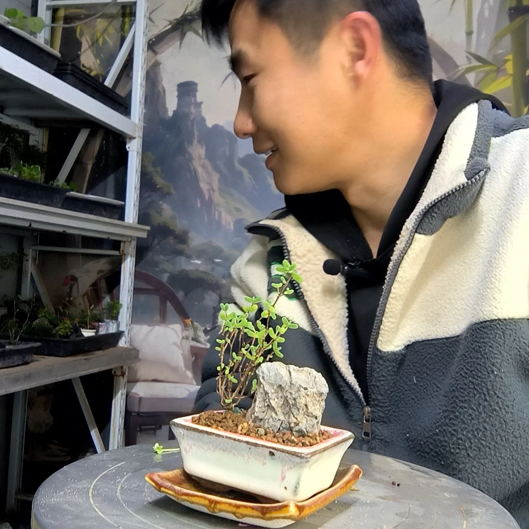 筠中青园艺一物一拍38