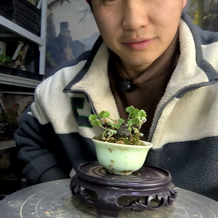 S****s中青园艺一物一拍120