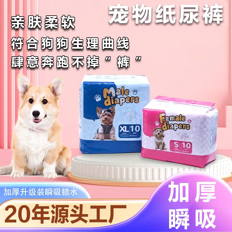 宠物狗狗纸尿裤吸水防渗漏无异味一次性公狗母狗生理裤专用款