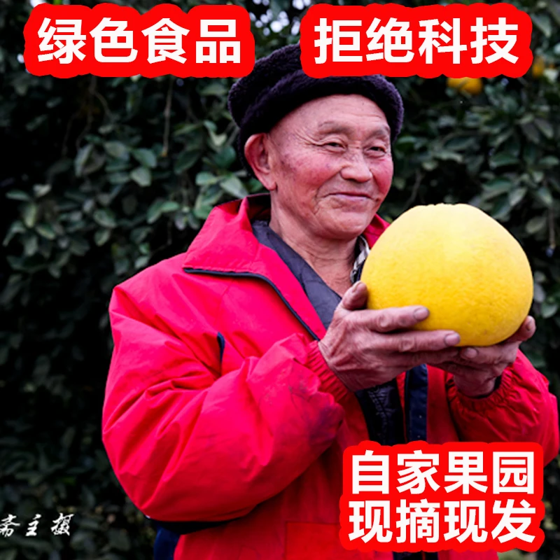 【绿色食品】红皮金柚酸甜可口蜜柚红皮黄心新品种蜜柚现摘现发