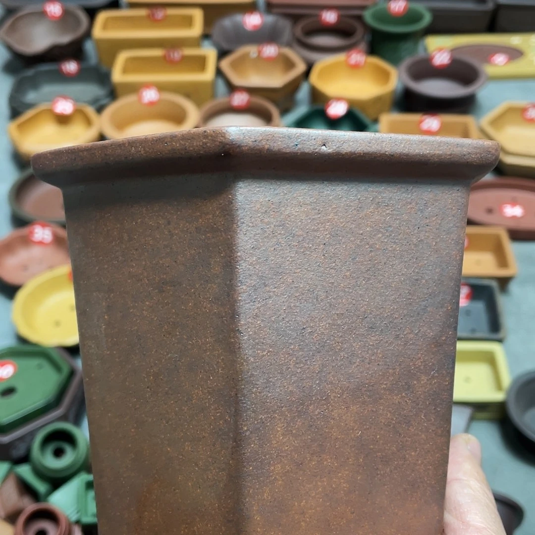 紫砂小盆11*12cmmmm