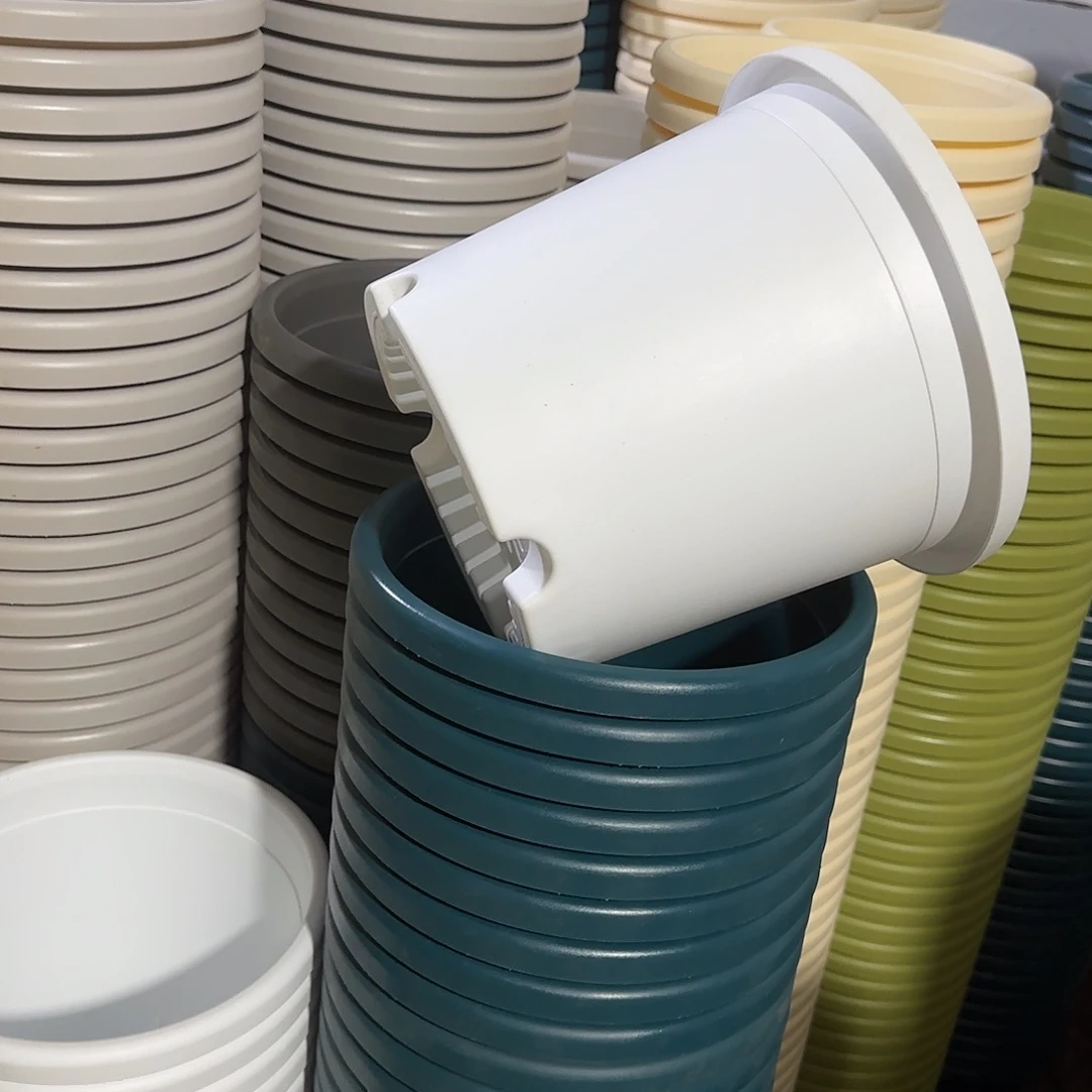 微瑕4号无托10个，白