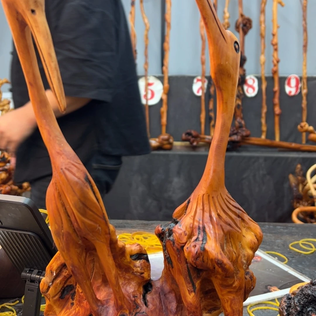 黑果木其他黑果木951