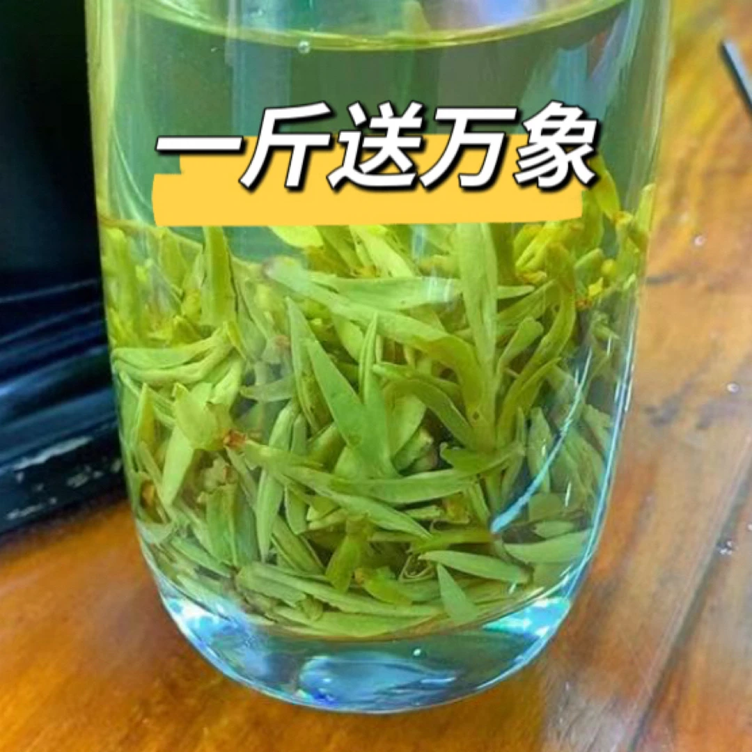 25年新茶【3-0-8 一斤带万象】鲜浓沙口耐泡