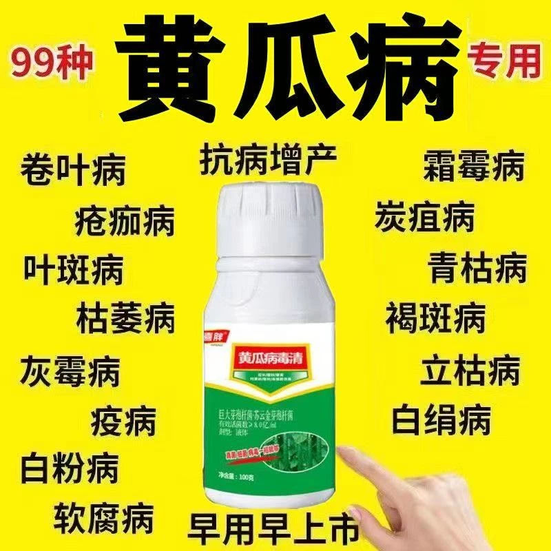 黄瓜蔬菜病全治黄瓜专用黄瓜微生物肥料叶面肥黄瓜霜霉褐斑叶枯
