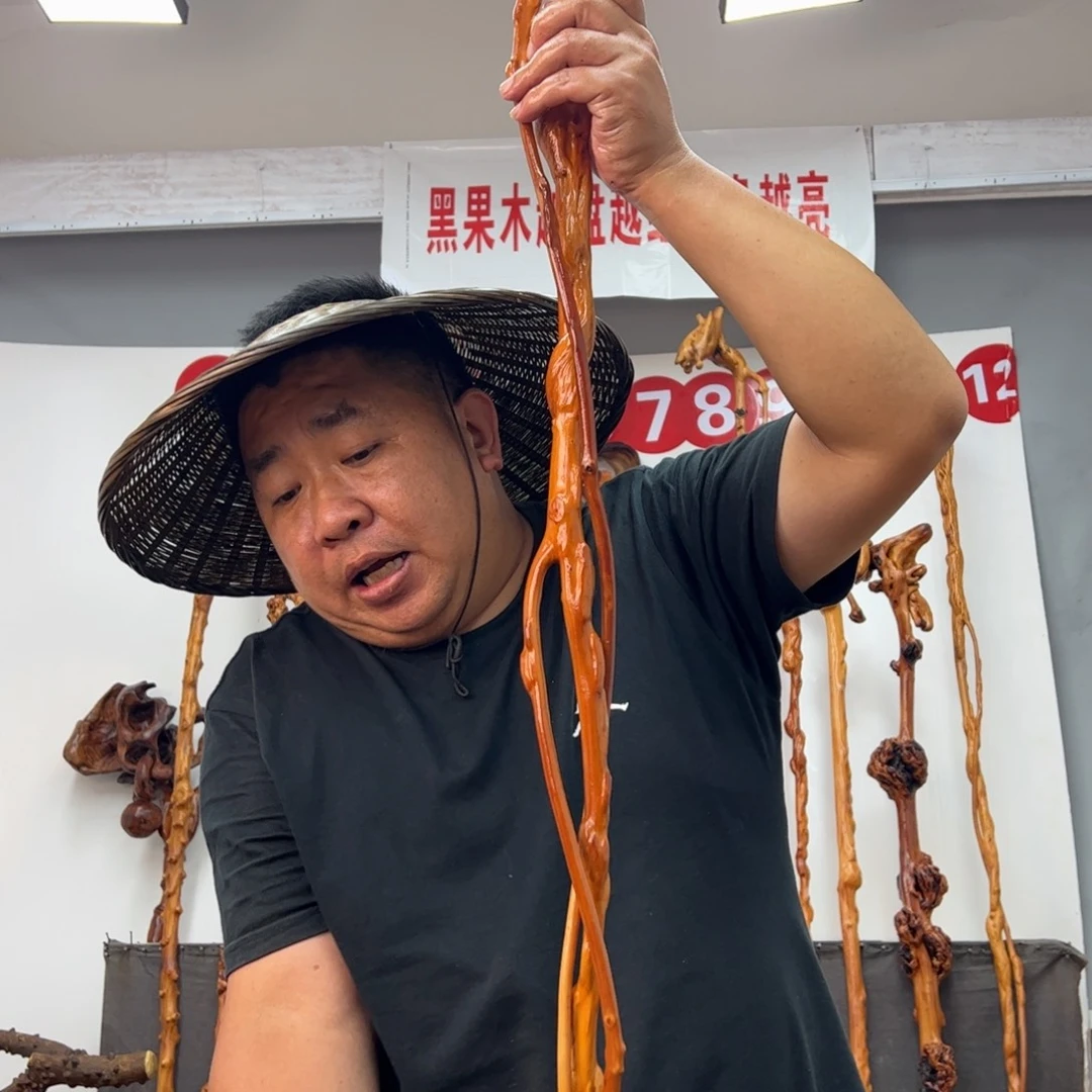 千***）黑果木其他黑果木294