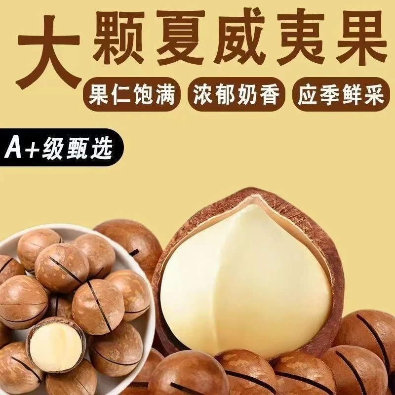【拍一发五】新货夏威夷果奶油味坚果零食散装干果批发