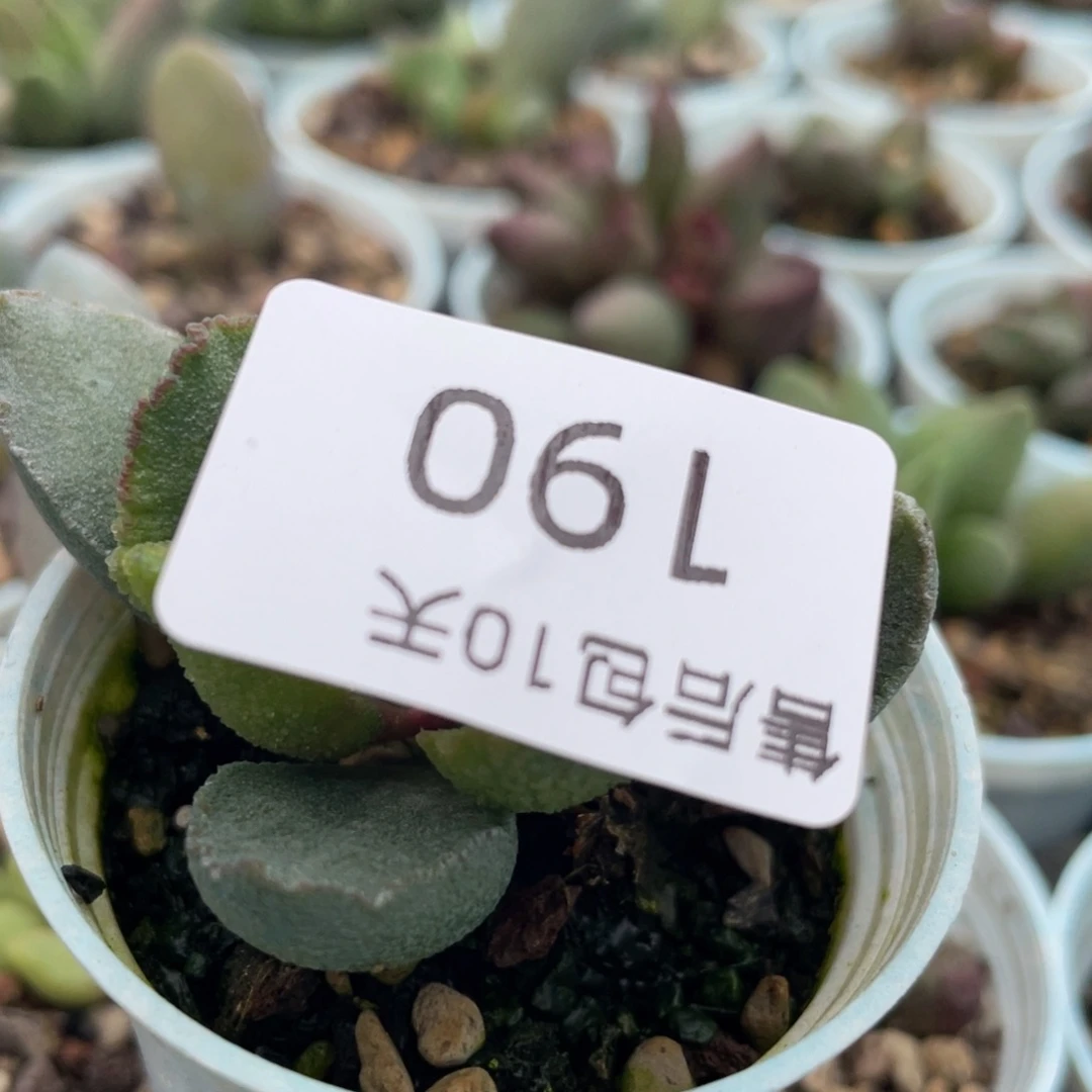 福利。  福利。