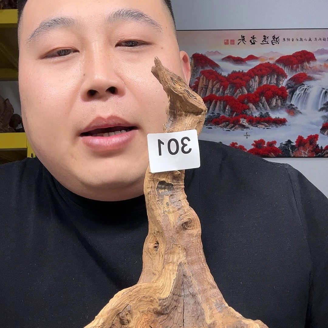 大果紫檀（缅甸花梨）無****月