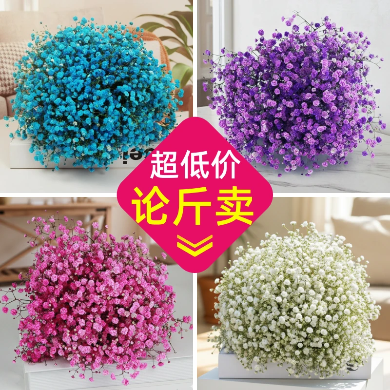 花瓶满天星干花花束鲜花真花客厅天然装饰摆设卧室摆件家居插花