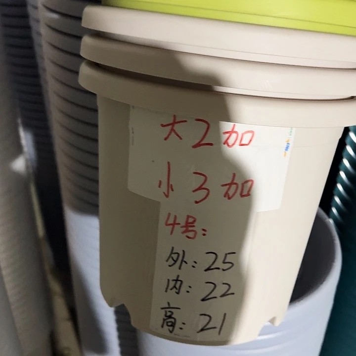 四季4号灰白无托10个特价微瑕