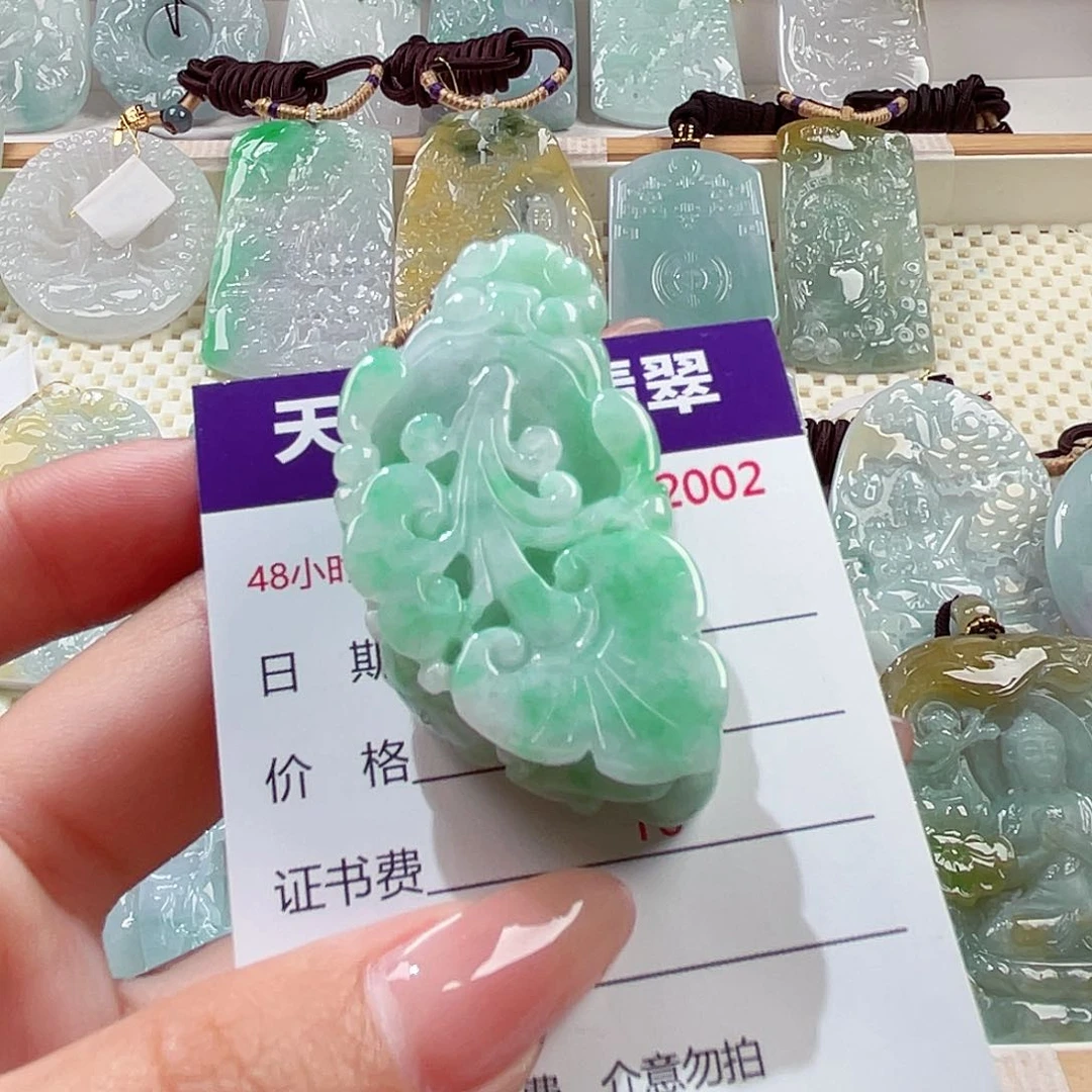 翡翠未镶嵌颈饰貔貅
