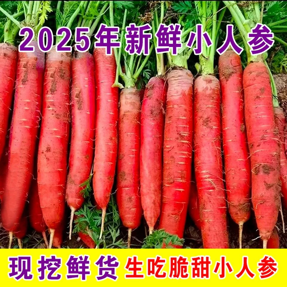 甘肃沙漠水果红萝卜新鲜现挖脆甜多汁产地直发营养美味5斤装