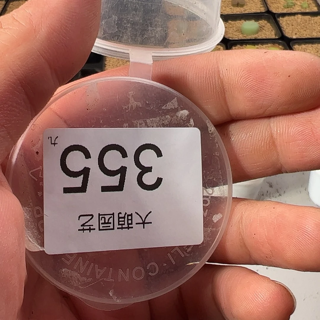 ****。0000355 一物一拍……