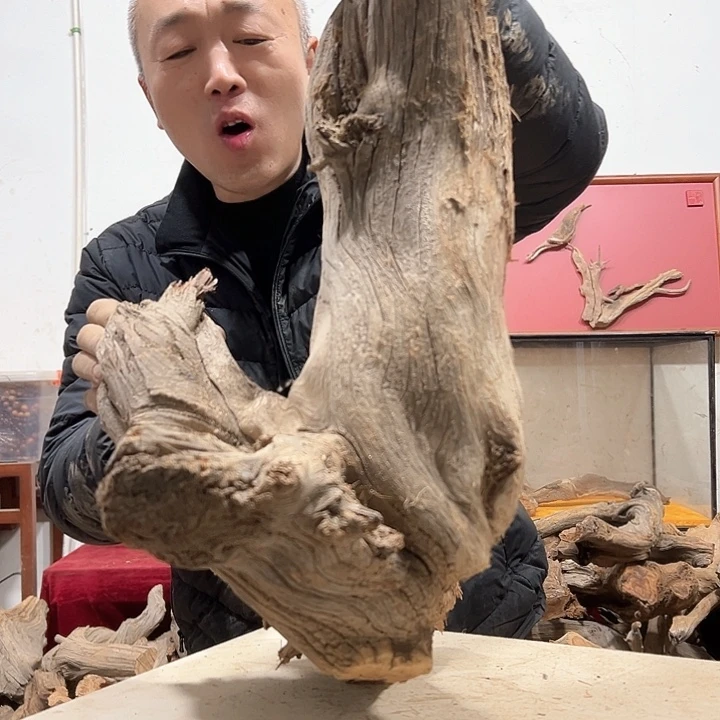 柏木柏*我们的生活也会越来越