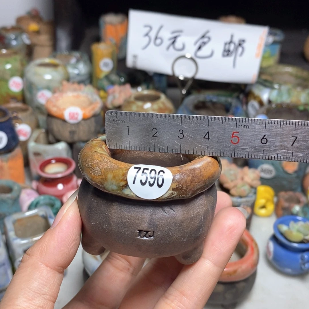 拍3送一个小礼物