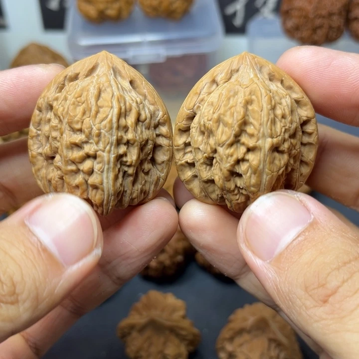 守正核堂，37老款僧帽