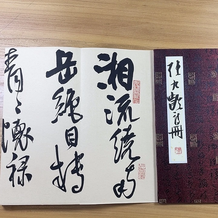 书法中书协会员作品