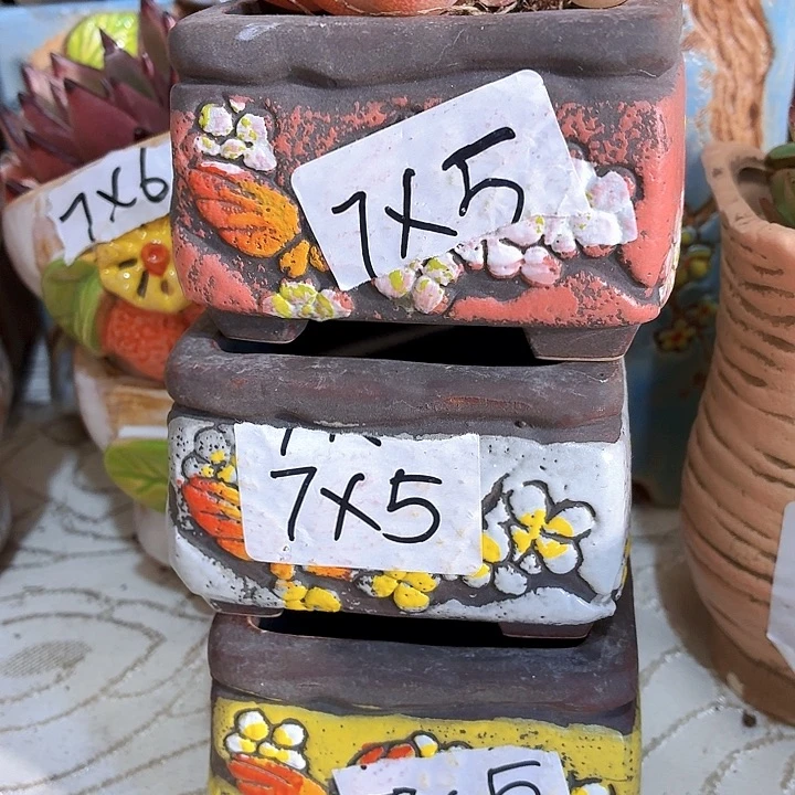 多肉花盆满15包邮